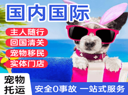 屯溪航空托运国际宠物托运 【国
